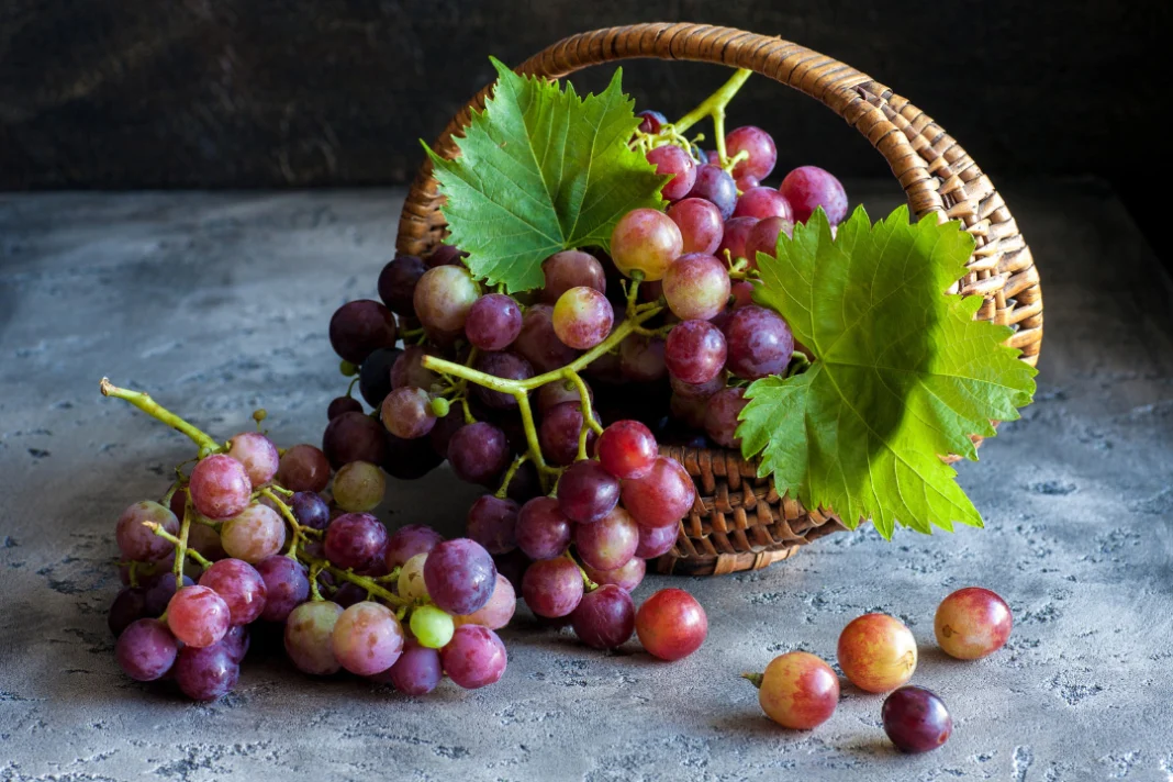 grapes in the basket