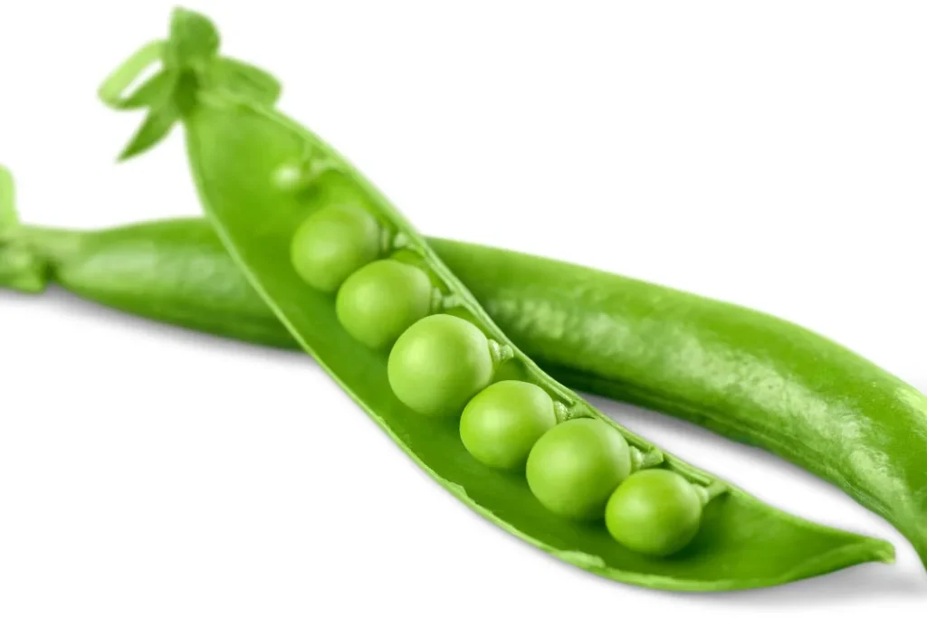 Peas are source of natural protein.