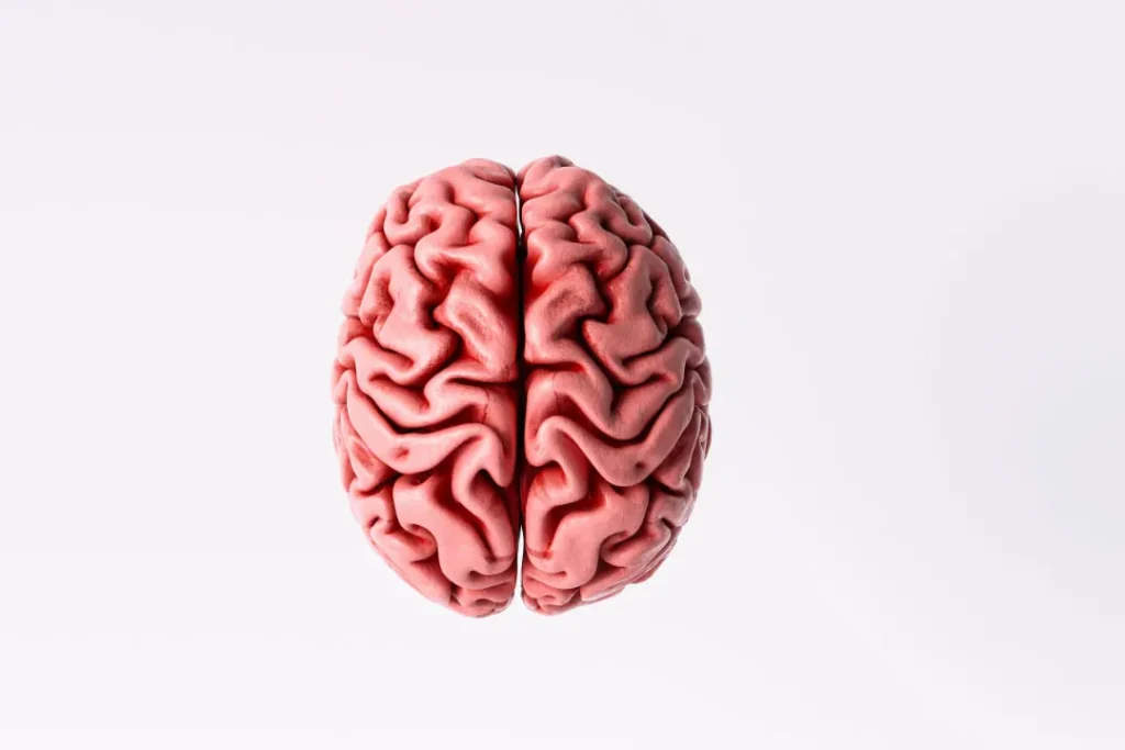 concept of human brain