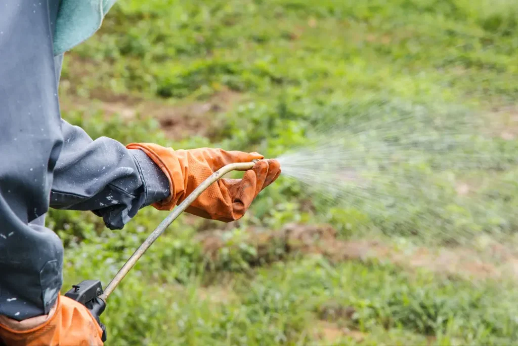 Pesticide spray. 