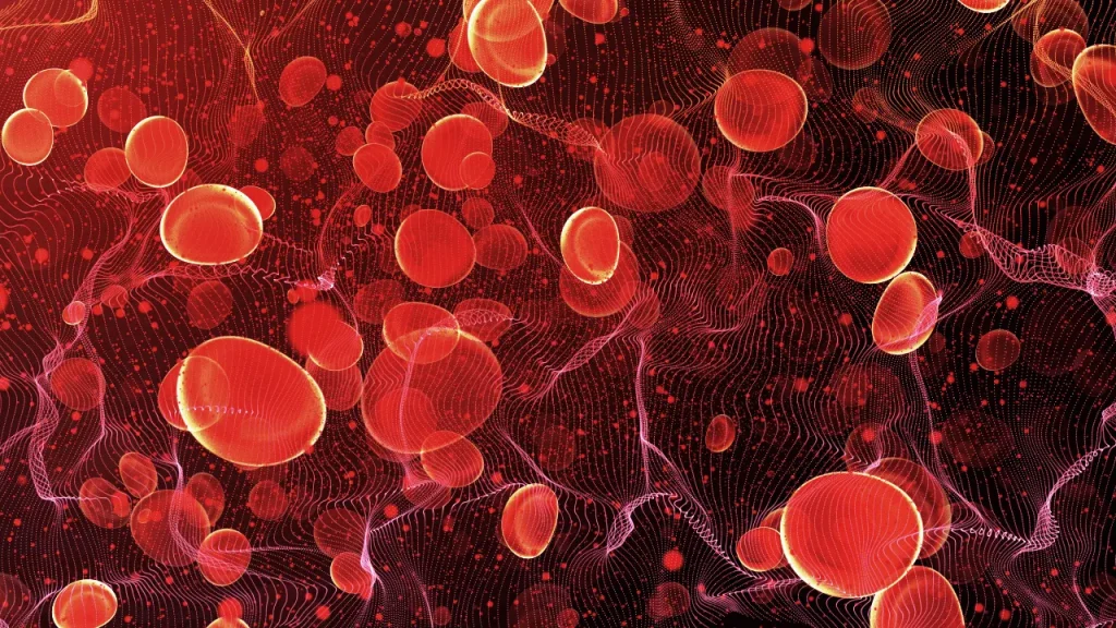 Blood cells. 